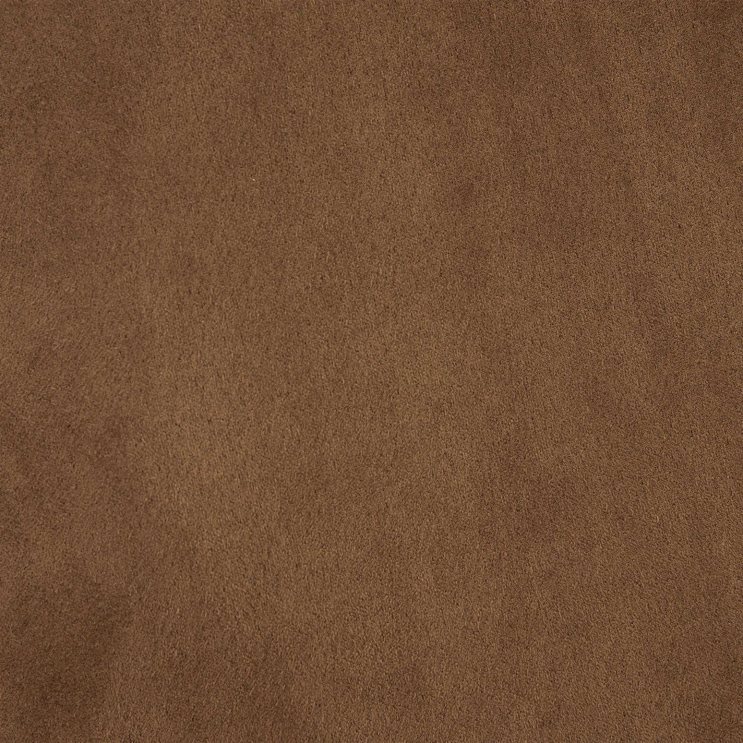 Blouson Aspect Velours Col Et Doublure Moutonnés 9 Blouson Aspect Velours Col Et Doublure Moutonnés – Image 9