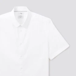 Chemisette Slim Unie Coton Biologique -Jules 1003606 10000 V8