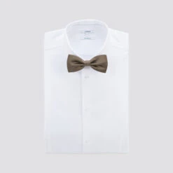 Nœud Papillon En Soie -Jules 1003676 17033 V3