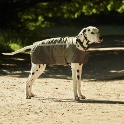 Poncho Pour Chien Matière Imperméable